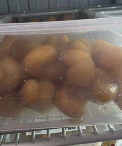 Koeksisters (+-12 in container) (Pick-up or In Store ONLY, shipping not available on this product)